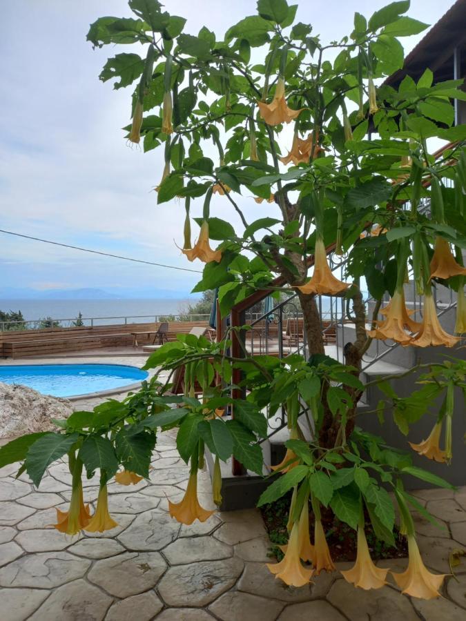 Seven Keys Luxury Suites Αχίλλειο Εξωτερικό φωτογραφία